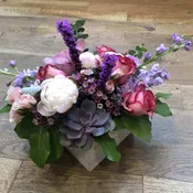Box of color