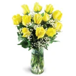 Classic Yellow Roses