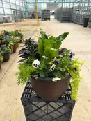 14.5" Planter Fall