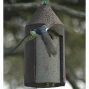 1 1/2 Inch Free Hanging Birdhouse