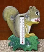 Squirrel Thermometer