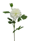 #023962CRM – 24″ Dahlia Garden w/buds {Cream}