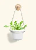 Polar White Hanging Fat Lip Planter