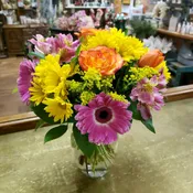 Bright & Colorful