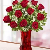 Blooming Love Premium 12 Red Roses in Red Vase