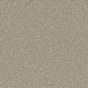Dreamweaver SP251 – Clam Shell