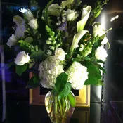 Elegant White Grand