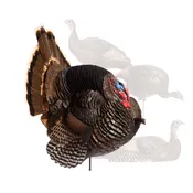 Custom Flock | Jake Strutter