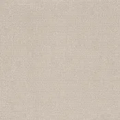 Anderson Tuftex Carpet Alluring Birchbark 00121_ZZ316