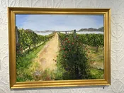 Vineyard Walk to the Bay — Nova Constellatio Gallery