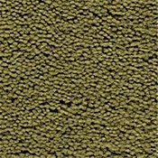 Fabrica Green Olive Plush Saxony Carpet