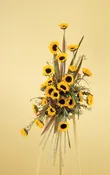 2-38-11  Sunflower Spray