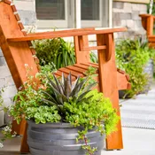 ART & SOL® 'Thunderbird' Mangave | Proven Winners®