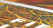 Field Notes | Underland Press Sheet