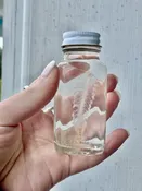 Preserved Plankton Worms | Gulf of Maine Marine Biology Specimens | Gulf Of Maine, Inc.