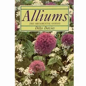 Alliums Ornamental Onions