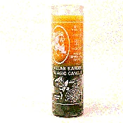 Allan Kardec 7 Day Magic Candle