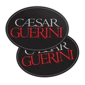 CG Logo Magnet (4"x6")