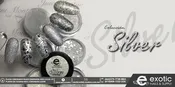 Silver Collection