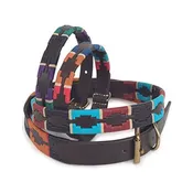 Dog Collar - Digby & Fox Drover Polo (Assorted Colors and Sizes)