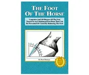 The Foot Of The Horse