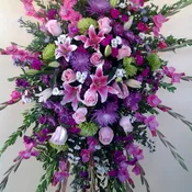 Pink and Purple Spray