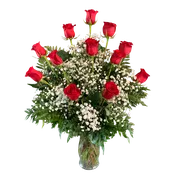 Dozen Rose