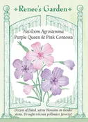 Agrostemma - Purple Queen and Pink Contessa