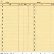 JOURNAL BASICS LEDGER PAPER YELLOW