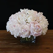 FM peonies — MICHAEL GEORGE