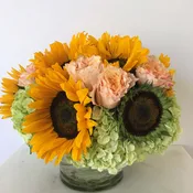 Rita's Sunshine