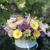 Cat Friendly collection: An assortment of flowers safe for cats