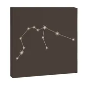 Aquarius Zodiac Star Constellation Line Art Coffee Brown Canvas Print