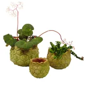 AGED GRANADA PLANTER