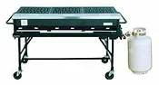 2x5 Gas Grill