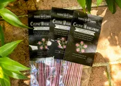 Celtic Highlands Incense Sticks – Scottish Heather & Spear Thistle