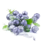 Blueberry