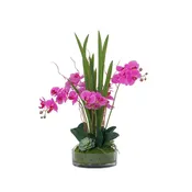 29.5" Purple Orchid Arrangement in a Circular Glass Vase with Undergrowth and Greenery | Real Touch Purple Moth Orchids by Fiori Sempre
