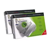 BirdieBall Dozen | Full-Swing Limited Flight Practice Golf Balls (pack of 12)