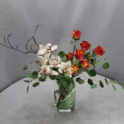 Orange et Crème
