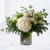 Ivory Haven