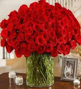 100 PREMIUM LONG STEM RED ROSES IN A VASE