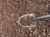 Mushroom Mulch