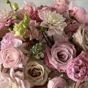 Designers Choice Pink and White
