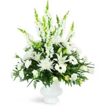 Peaceful White Tribute