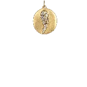 Angel Wing - Gold