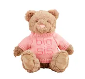 Big Sis or Big Bro Plush Bear