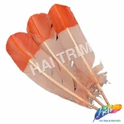 10-12" 2-tone Turkey Quills (sold per piece) - ONE SIDE ONLY