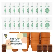 Daisy Grow Kit Bulk 20 Pack | Mini Terracotta Pots & Seeds
