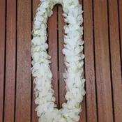 Celebration Lei  (PRE- ORDER ONIY)